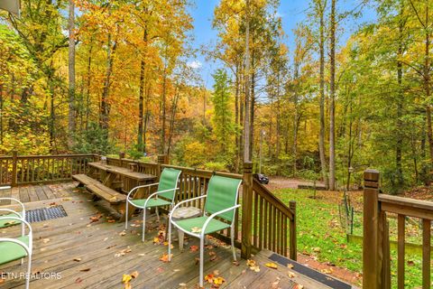 Tiny photo for 1053 Reagan Springs Rd, Seymour, TN 37865 (MLS # 1321107)