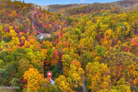 Tiny photo for 1053 Reagan Springs Rd, Seymour, TN 37865 (MLS # 1321107)