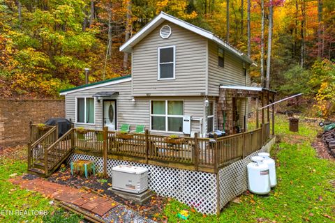 Tiny photo for 1053 Reagan Springs Rd, Seymour, TN 37865 (MLS # 1321107)