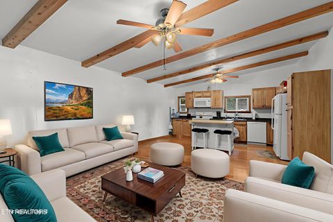 Tiny photo for 1053 Reagan Springs Rd, Seymour, TN 37865 (MLS # 1321107)