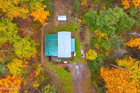 Tiny photo for 1053 Reagan Springs Rd, Seymour, TN 37865 (MLS # 1321107)