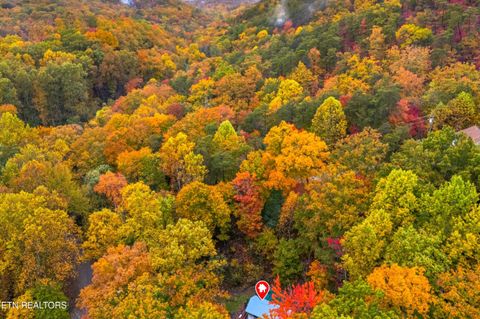 Tiny photo for 1053 Reagan Springs Rd, Seymour, TN 37865 (MLS # 1321107)