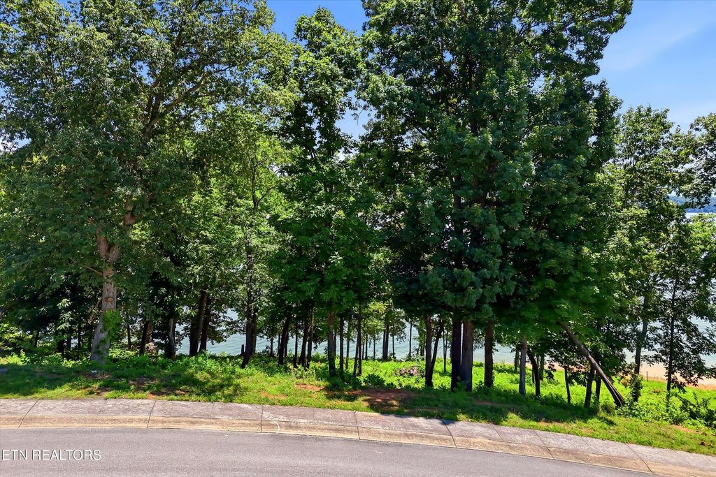 Photo of 2127 Majestic Circle, Dandridge, TN 37725 (MLS # 1346138)