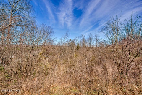 Tiny photo for 132134 Black Oak Drive, Oak Ridge, TN 37830 (MLS # 1330420)