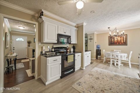 Tiny photo for 333 Oran Rd, Knoxville, TN 37934 (MLS # 1339696)