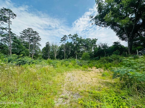 Photo of 0 Short St St, Morristown, TN 37814 (MLS # 1347346)