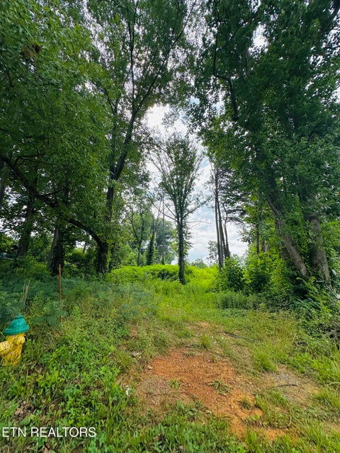 Tiny photo for 0 Short St St, Morristown, TN 37814 (MLS # 1347346)