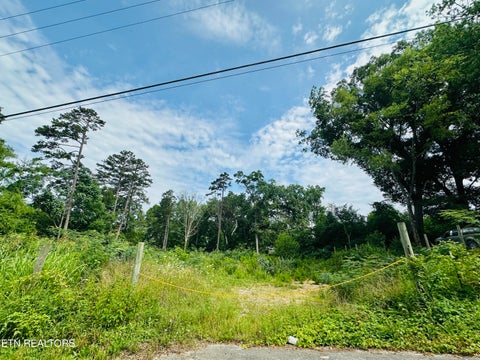 Tiny photo for 0 Short St St, Morristown, TN 37814 (MLS # 1347346)