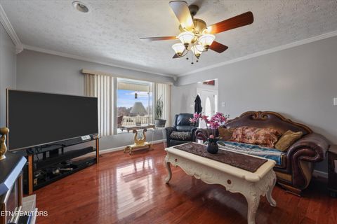 Tiny photo for 133 Rolling Hls Hls, Rutledge, TN 37861 (MLS # 1329836)