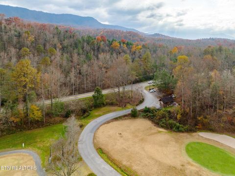 Tiny photo for 510 Wildflower Ridge Rd Rd, Gatlinburg, TN 37738 (MLS # 1332535)