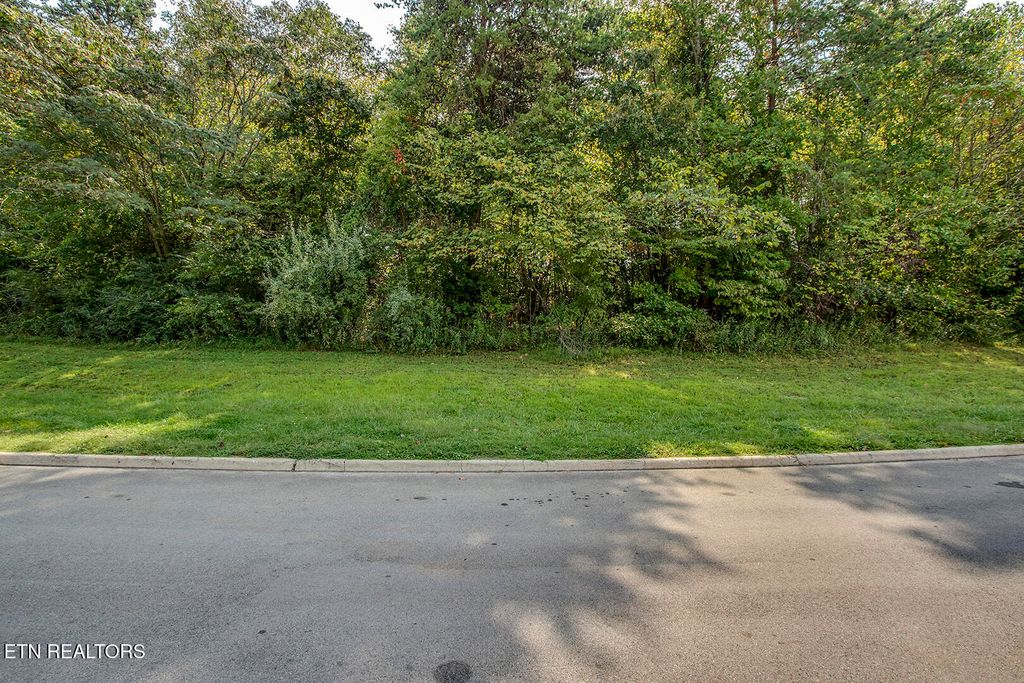 Photo of 650 Sandpiper Drive Drive, Vonore, TN 37885 (MLS # 1316825)