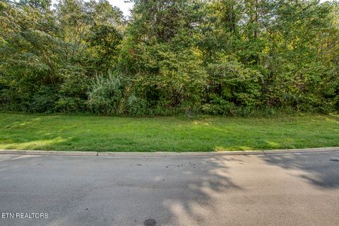 Tiny photo for 650 Sandpiper Drive Drive, Vonore, TN 37885 (MLS # 1316825)