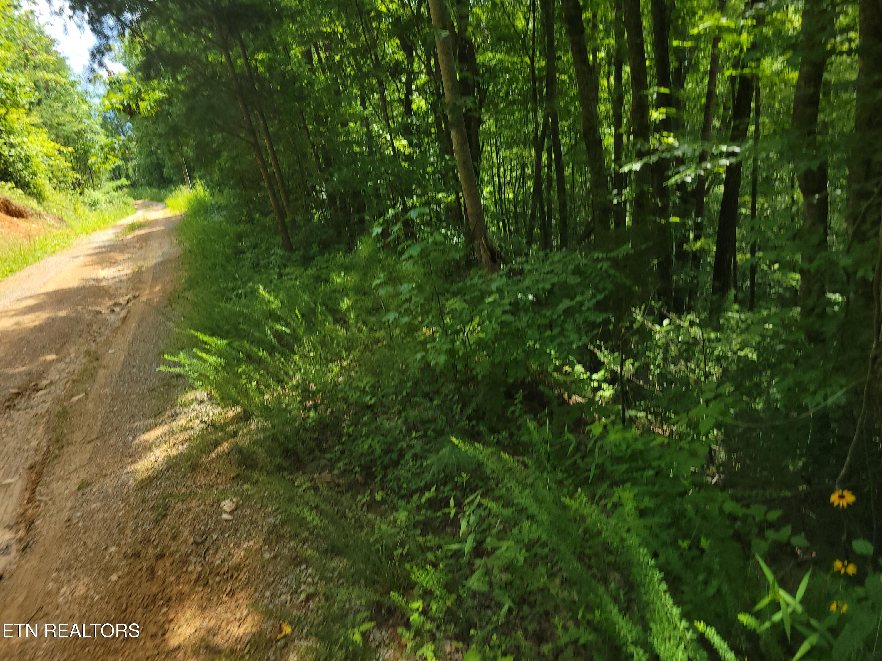 Lot 79 Yellowwood Drive