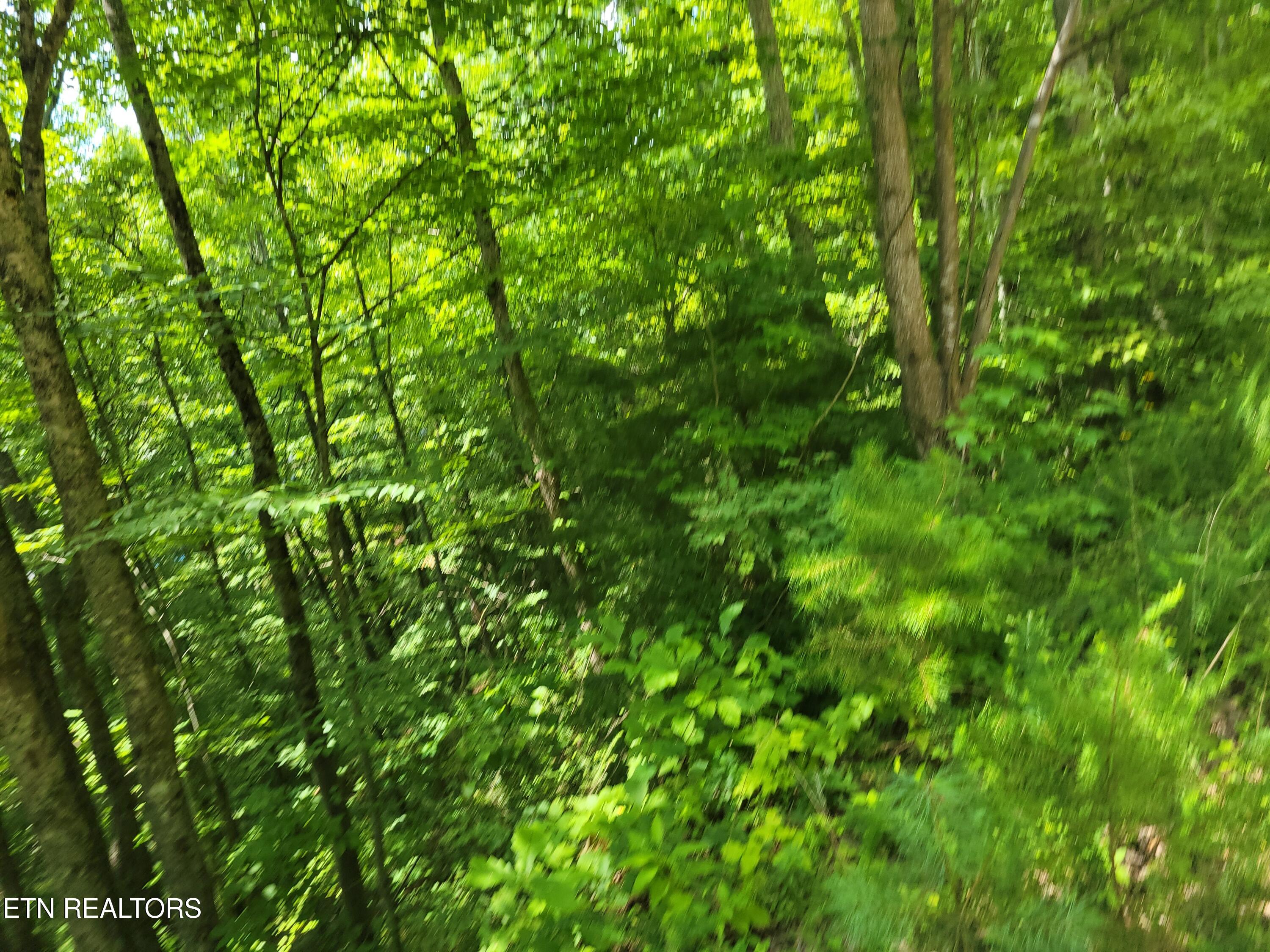 Lot 79 Yellowwood Drive