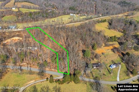 Tiny photo for Lot 0 Sugar Hollow Rd, LaFollette, TN 37766 (MLS # 1325180)