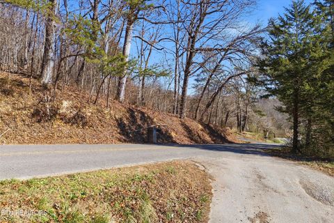 Tiny photo for Lot 0 Sugar Hollow Rd, LaFollette, TN 37766 (MLS # 1325180)