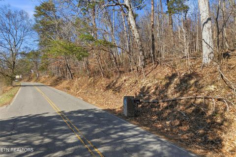 Tiny photo for Lot 0 Sugar Hollow Rd, LaFollette, TN 37766 (MLS # 1325180)