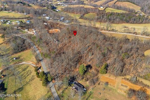 Tiny photo for Lot 0 Sugar Hollow Rd, LaFollette, TN 37766 (MLS # 1325180)