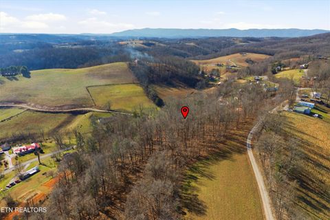 Tiny photo for Lot 0 Sugar Hollow Rd, LaFollette, TN 37766 (MLS # 1325180)