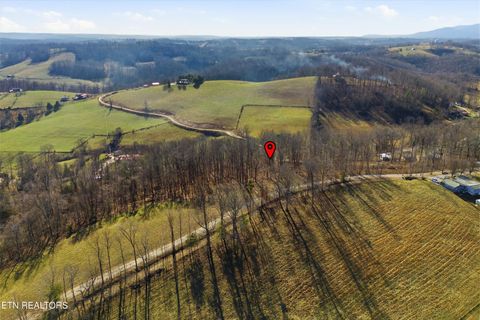 Tiny photo for Lot 0 Sugar Hollow Rd, LaFollette, TN 37766 (MLS # 1325180)