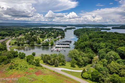 Tiny photo for 185 Waters Edge Drive, Spring City, TN 37381 (MLS # 1331418)