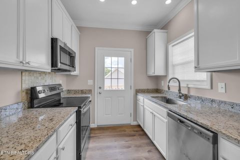 Tiny photo for 185 Waters Edge Drive, Spring City, TN 37381 (MLS # 1331418)