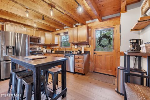 Tiny photo for 219 Tolliver Tr, Townsend, TN 37882 (MLS # 1322780)