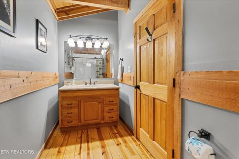 Tiny photo for 219 Tolliver Tr, Townsend, TN 37882 (MLS # 1322780)