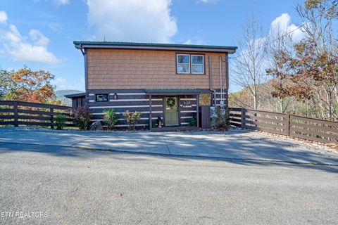 Tiny photo for 219 Tolliver Tr, Townsend, TN 37882 (MLS # 1322780)