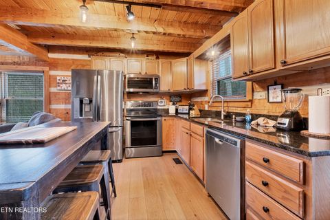 Tiny photo for 219 Tolliver Tr, Townsend, TN 37882 (MLS # 1322780)