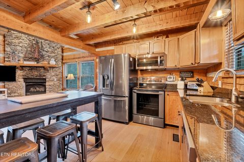 Tiny photo for 219 Tolliver Tr, Townsend, TN 37882 (MLS # 1322780)