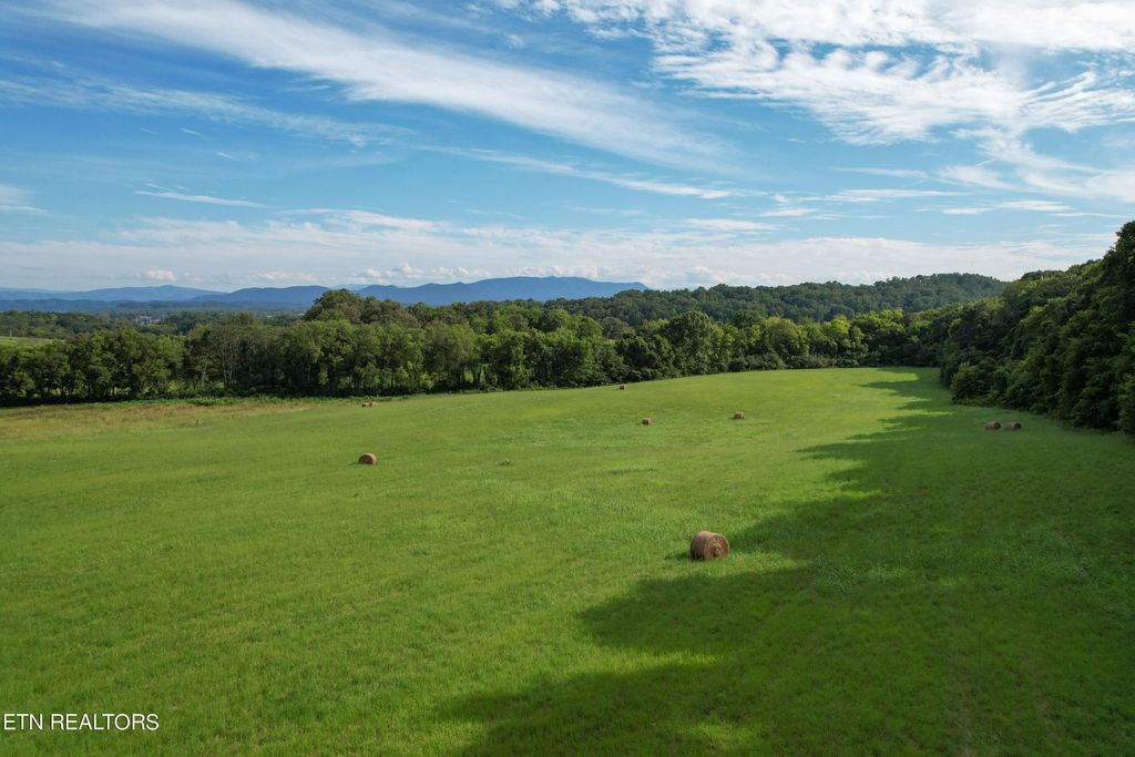 Photo of 2 Cornfield Lane, White Pine, TN 37890 (MLS # 1238527)
