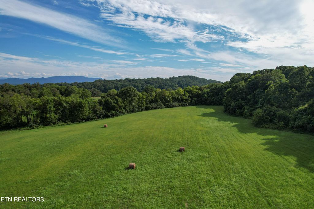 Photo of 2 Cornfield Lane, White Pine, TN 37890 (MLS # 1238527)