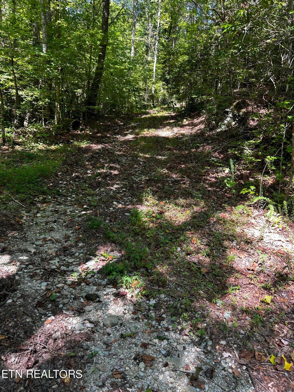 Photo of Bailey Rd, Tellico Plains, TN 37385 (MLS # 1276418)