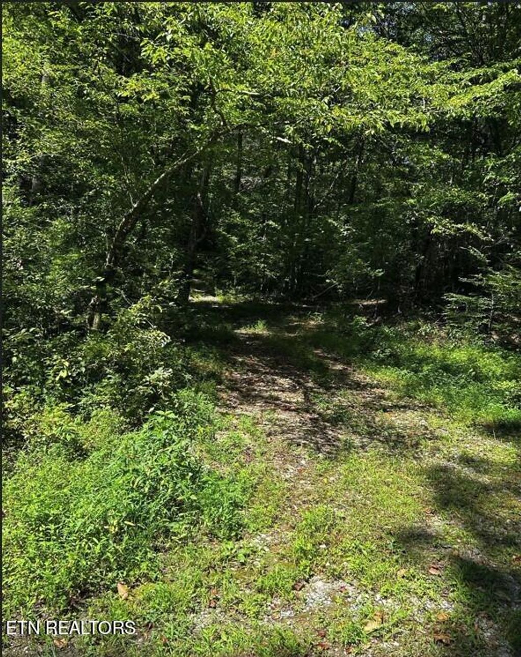 Photo of Bailey Rd, Tellico Plains, TN 37385 (MLS # 1276418)