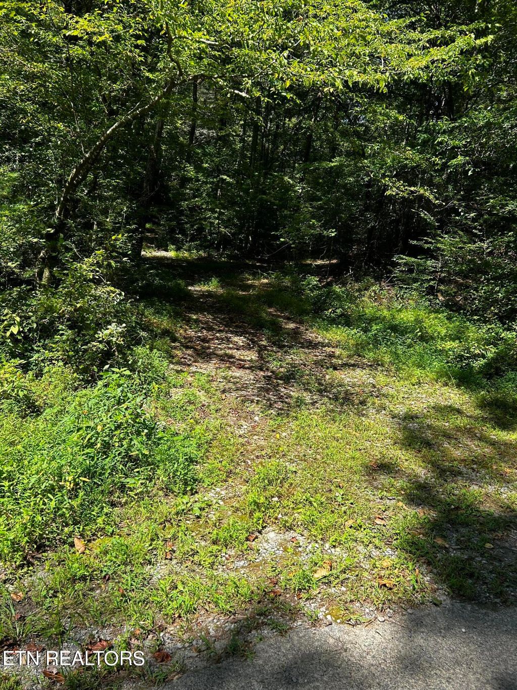 Photo of Bailey Rd, Tellico Plains, TN 37385 (MLS # 1276418)