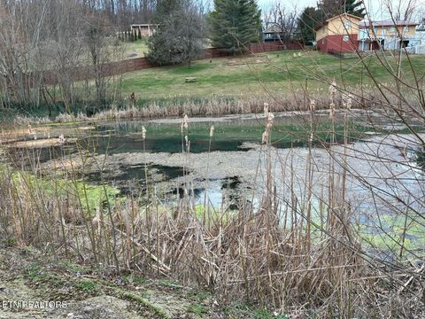 Tiny photo for 112 Woodland Drive, Sweetwater, TN 37874 (MLS # 1330177)