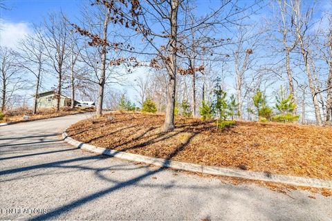 Tiny photo for Foxwood Drive, Caryville, TN 37714 (MLS # 1326269)