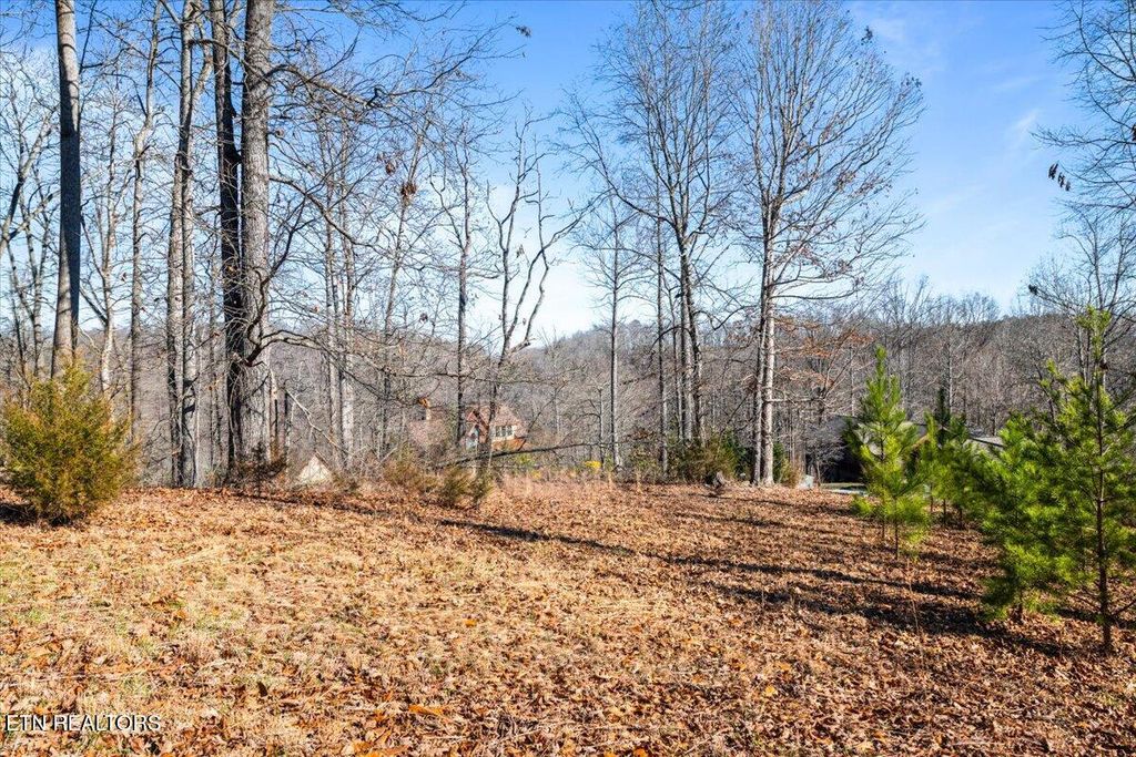 Photo of Foxwood Drive, Caryville, TN 37714 (MLS # 1326269)