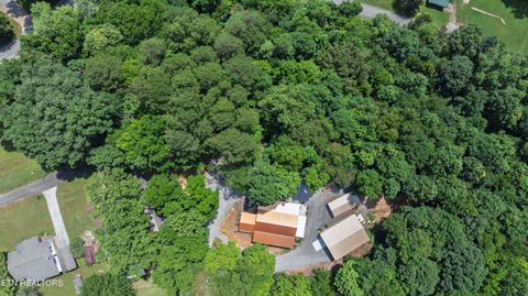 Tiny photo for 150 4Th St, Tellico Plains, TN 37385 (MLS # 1328048)