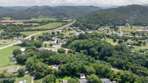 Tiny photo for 150 4Th St, Tellico Plains, TN 37385 (MLS # 1328048)