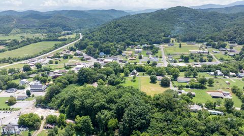 Tiny photo for 150 4Th St, Tellico Plains, TN 37385 (MLS # 1328048)