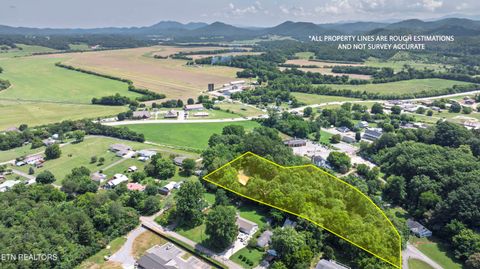 Tiny photo for 150 4Th St, Tellico Plains, TN 37385 (MLS # 1328048)