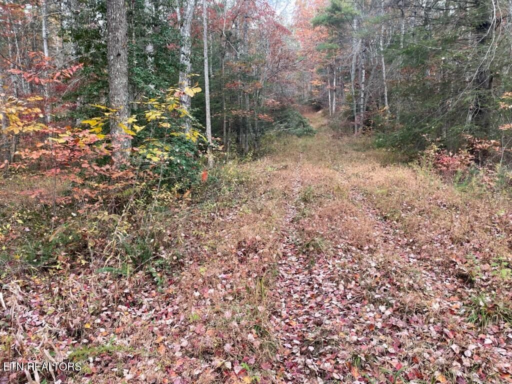 Photo of Gunter Place, Sunbright, TN 37872 (MLS # 1296990)