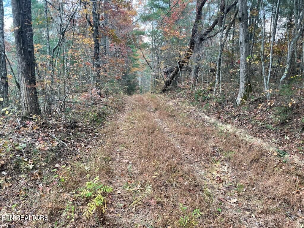 Photo of Gunter Place, Sunbright, TN 37872 (MLS # 1296990)