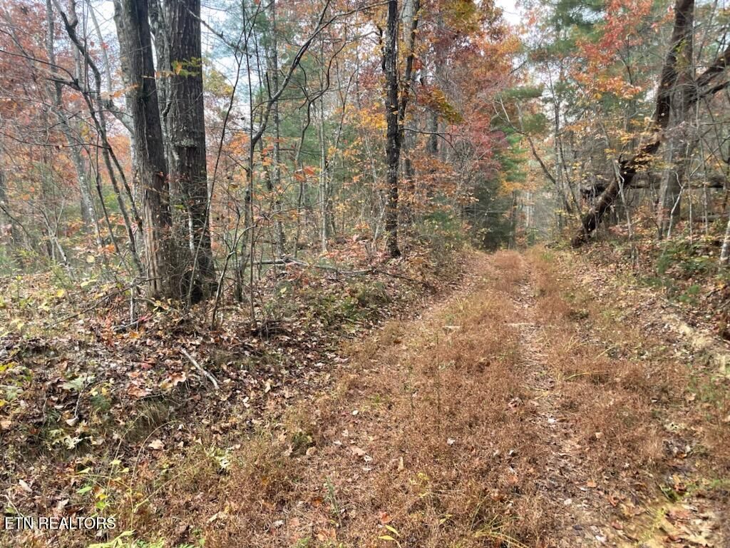 Photo of Gunter Place, Sunbright, TN 37872 (MLS # 1296990)