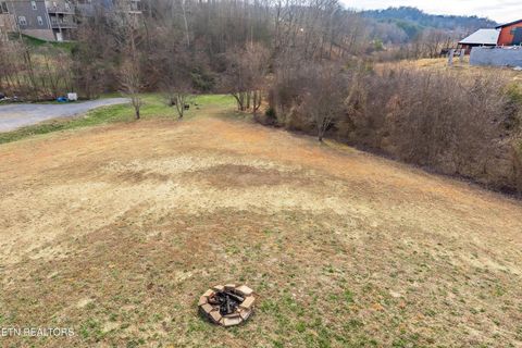 Tiny photo for 1131 Sanctuary Shores Way, Sevierville, TN 37876 (MLS # 1327814)