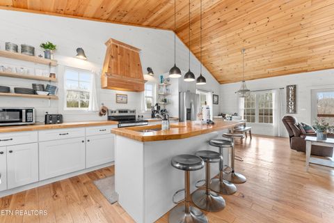 Tiny photo for 1131 Sanctuary Shores Way, Sevierville, TN 37876 (MLS # 1327814)