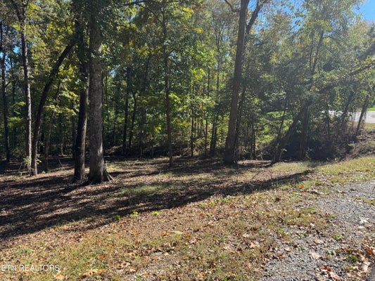 130 NUHYA WAY, LOUDON, TN 37774 - Image 18cbd762caa8b6a64db1a5cf09c9f4ea/2882237825