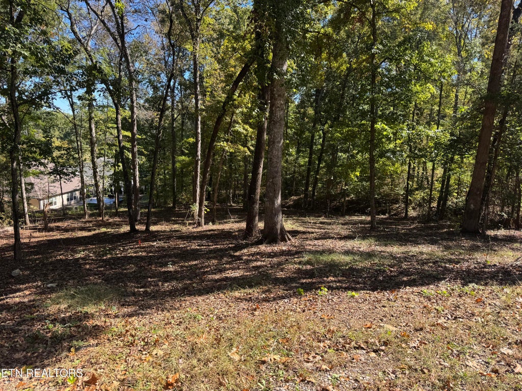 Photo of 130 Nuhya Way, Loudon, TN 37774 (MLS # 1359583)